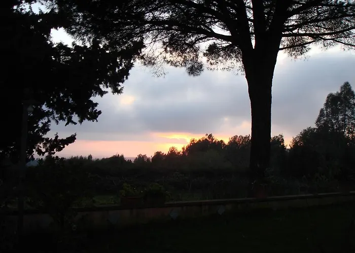 Ai Cipressi