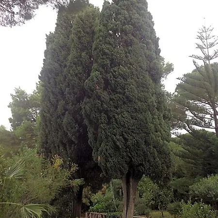 Ai Cipressi Salemi