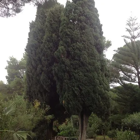 Ai Cipressi Couette-café